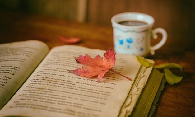 Experiența de lectură: Ce pierdem și ce câștigăm cu eBooks