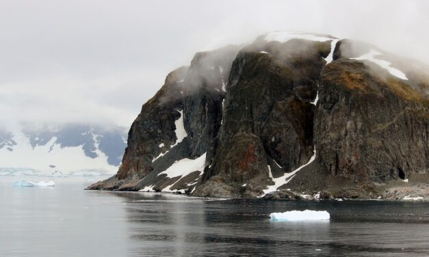 Antarctica înverzește mai rapid decât s-a prevăzut, din cauza încălzirii globale