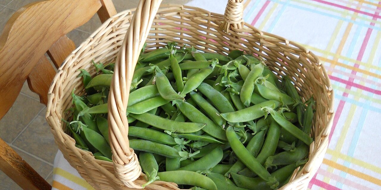 Cum te face mai sănătos Postul Mare și ce gătești ușor pentru toată familia