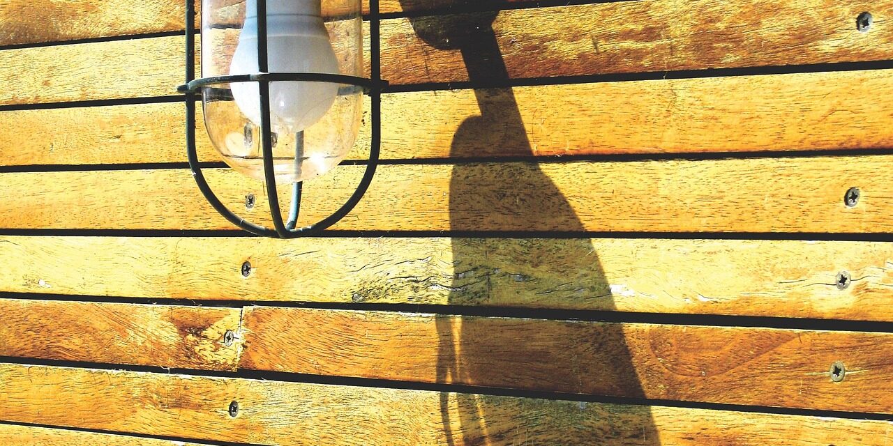 Vrei să îți transformi casa într-o locuință verde? Iată cum o poți face fără să cheltuiești o avere!