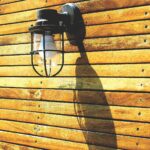 Vrei să îți transformi casa într-o locuință verde? Iată cum o poți face fără să cheltuiești o avere!