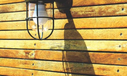 Vrei să îți transformi casa într-o locuință verde? Iată cum o poți face fără să cheltuiești o avere!